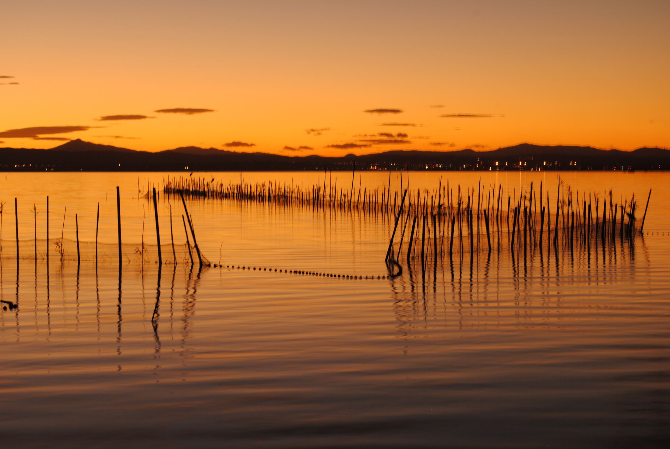 Albufera Natural Park in Valencia