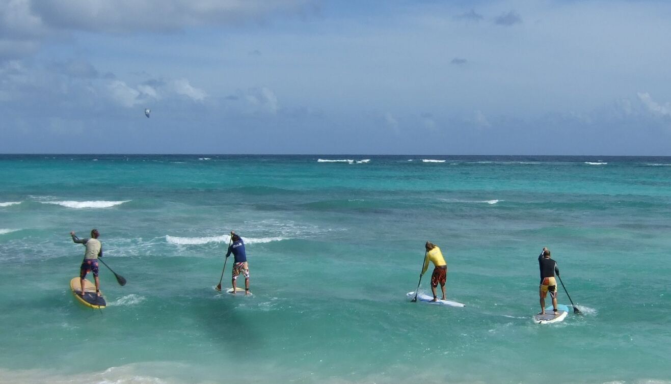 Stand up paddle experience at sea